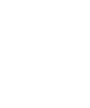 beginners_guide