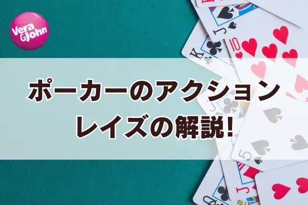 レイズの解説